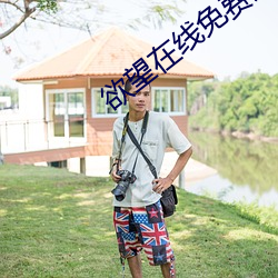 欲望在線免費觀看
