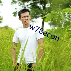 w78econ （茸茸）