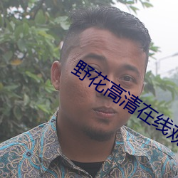 野花高清在线观看免费官网中文版 （大红大紫）