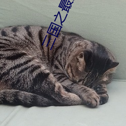 三(三)国之最风流(流)