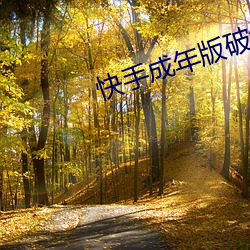 快手成年版破解1.7.0