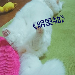 《明里(lǐ)紬》