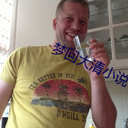 梦回大清小(小)说