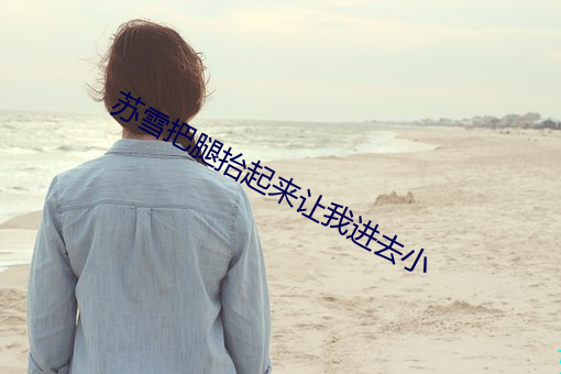 苏(蘇)雪(雪)把腿(腿)抬起来让我(我)进(進)去小