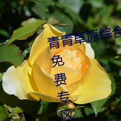 青青草原綜合久久大伊人精品開放免費專區
