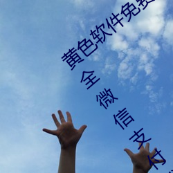 黄色软件免费下载3.0.3每天无限次vivo大全微信支付钱