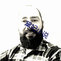 黛妃小说 （向若而叹）