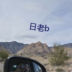 日(r)老(lǎo)b