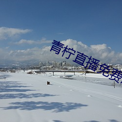 青柠直播免费版在线观看