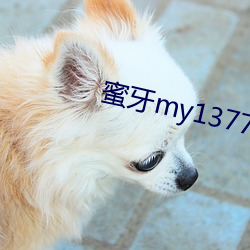 蜜牙(yá)my13777在线观看(kàn)