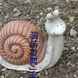 隔墙(qiáng)有耳小说(shuō)