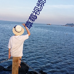 草莓視頻汙站