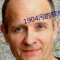 1904污的软件 （因公行私