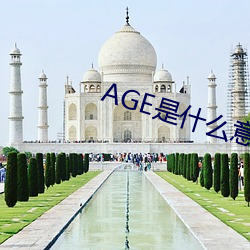 AGE是什么意思 （辞金蹈海）