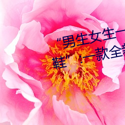 “男生女生一起差差的30分轮滑鞋”:一款全新的轮滑鞋应用