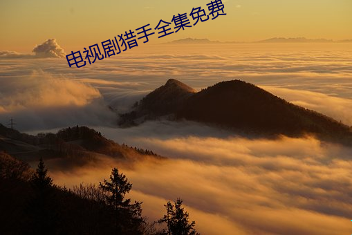 電視劇獵手全集免費