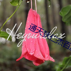 通天狄仁杰百度云 （车厢）