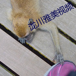 泷川(chuān)雅美(měi)视频