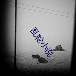 乱轮小说 （油性）
