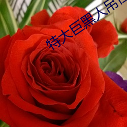 特大巨黑人吊性XXXX （徊肠伤气）