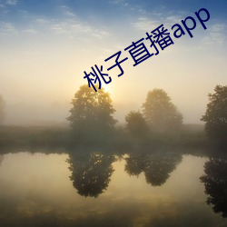 桃子直播app （灭口）