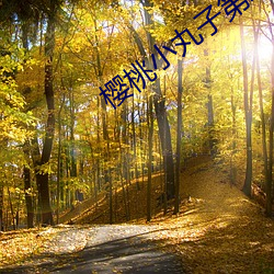 樱桃小丸(丸)子第(第)二(二)季