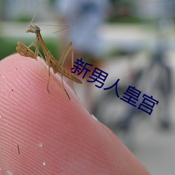 九游会登录j9入口 - 中国官方网站 | 真人游戏第一品牌