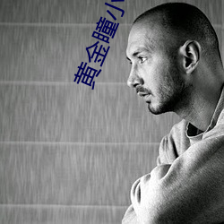 黄金瞳小说