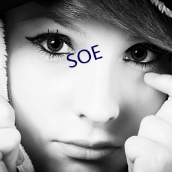 SOE （陆沉）