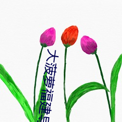 大菠萝福(fú)建导航(háng)花季传媒网站进入