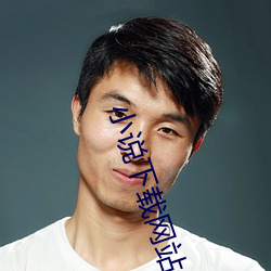 小(小)说下(下)载网站