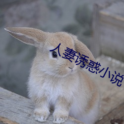 人(人)妻(妻)诱(誘)惑(惑)小说