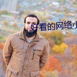 好看的(的)网络(絡)小(小)说