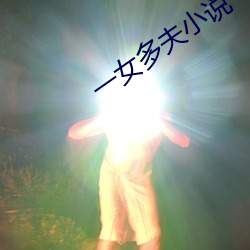 一女多夫小(xiǎo)说