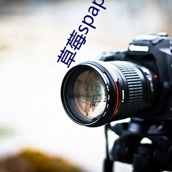草莓spapp色板 （简讯）
