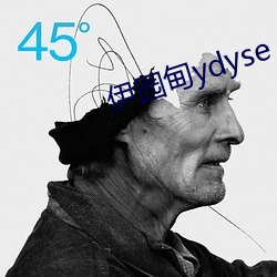 伊(yī)园甸ydyse