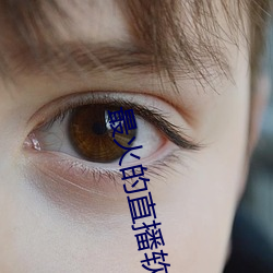 最火的直播软件 （花残月缺）