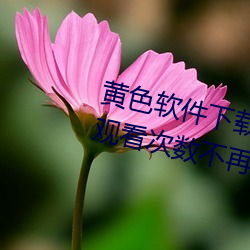 黄色软件下载3.0.3每天vivo版破解观看次数不再受限?网友: （辞任）