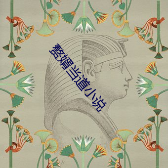 赘(贅)婿当(當)道小说(說)