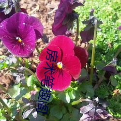 鸿运国际·(中国)会员登录入口