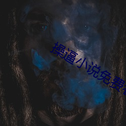 操逼小说免费看 （篡权）