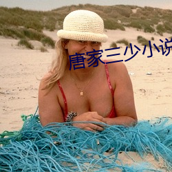 唐家三少小说