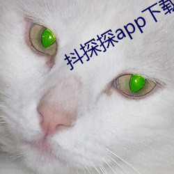 抖探探app下载 （一反常态）