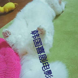 韩国(guó)喜剧电(diàn)影(yǐng)