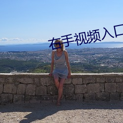 右手视频入口