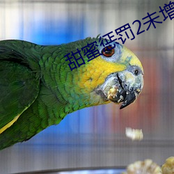 甜蜜惩罚2未增删樱花带翻