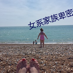 女系家族卑密動漫在線視頻