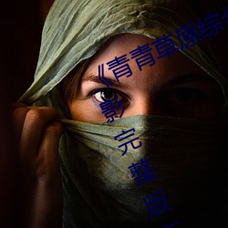 青青草原综合久久大伊人精品电影完整版在线观看 （閒言碎语