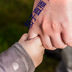 茄子直播下載