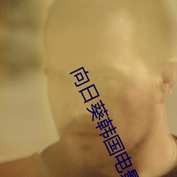 向日葵韩国电(din)影